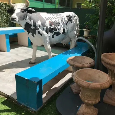 The Butcher-ducati And Airport Blq * Bolonha