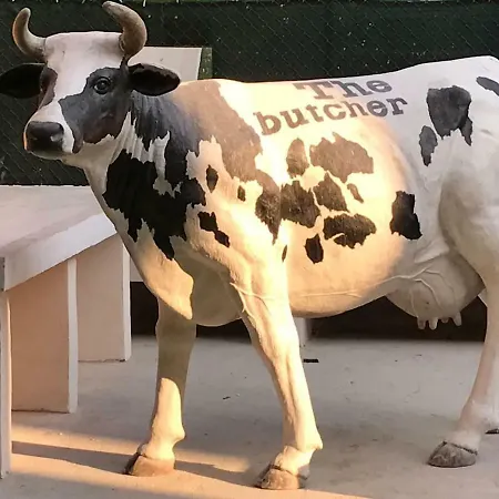 The Butcher-ducati And Airport Blq