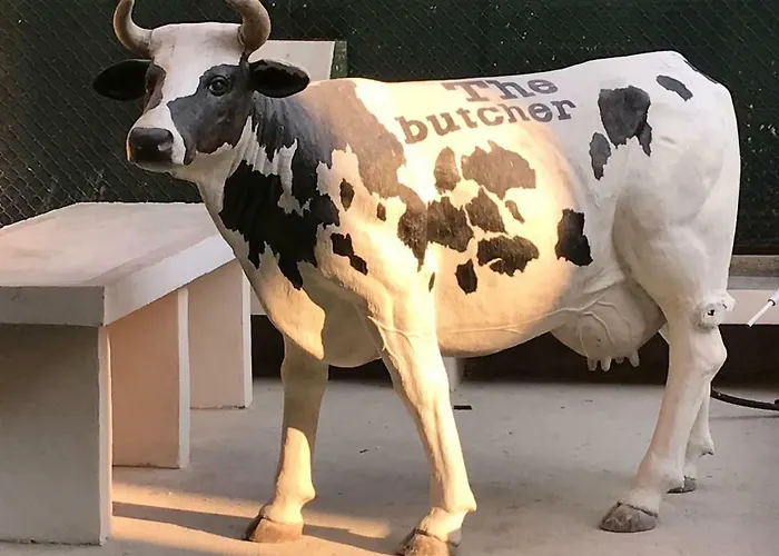 The Butcher-ducati And Airport Blq